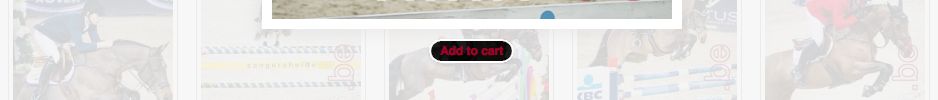 add-to-cart-nr